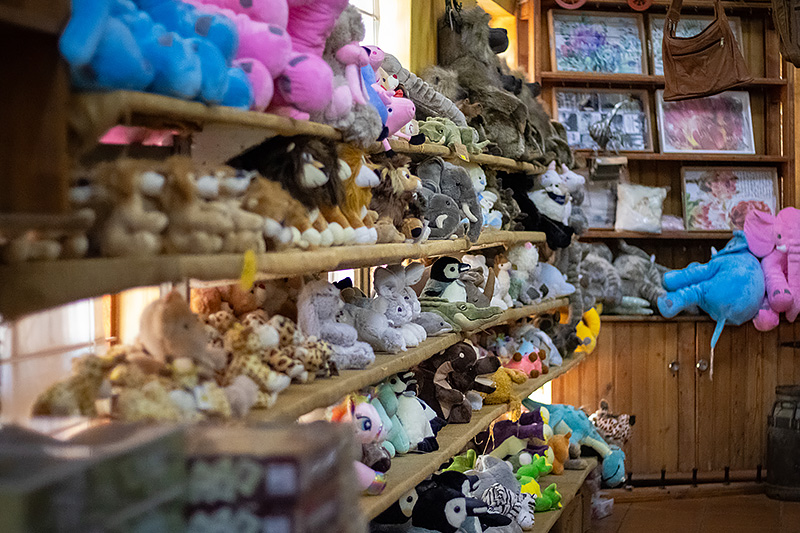 Curio Shop at Wilgewandel